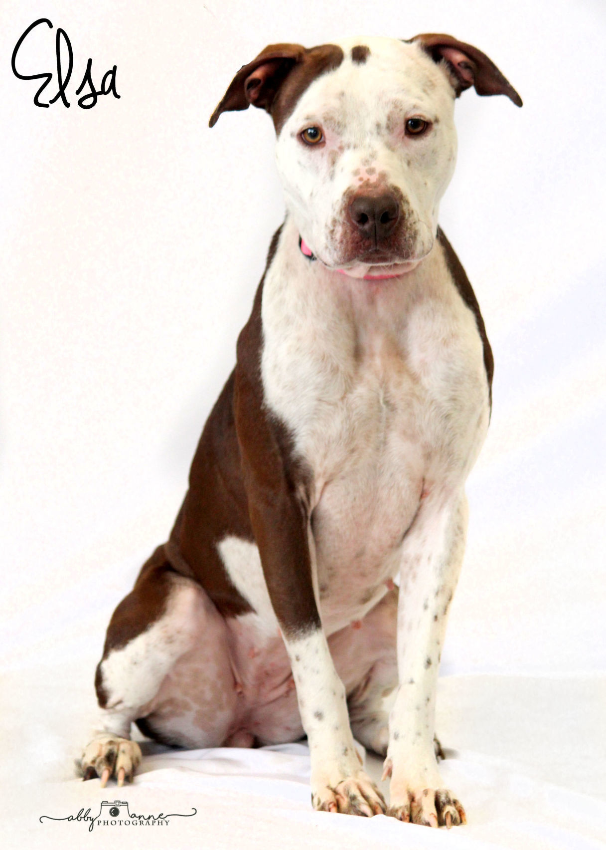 Elsa adoption photo 1